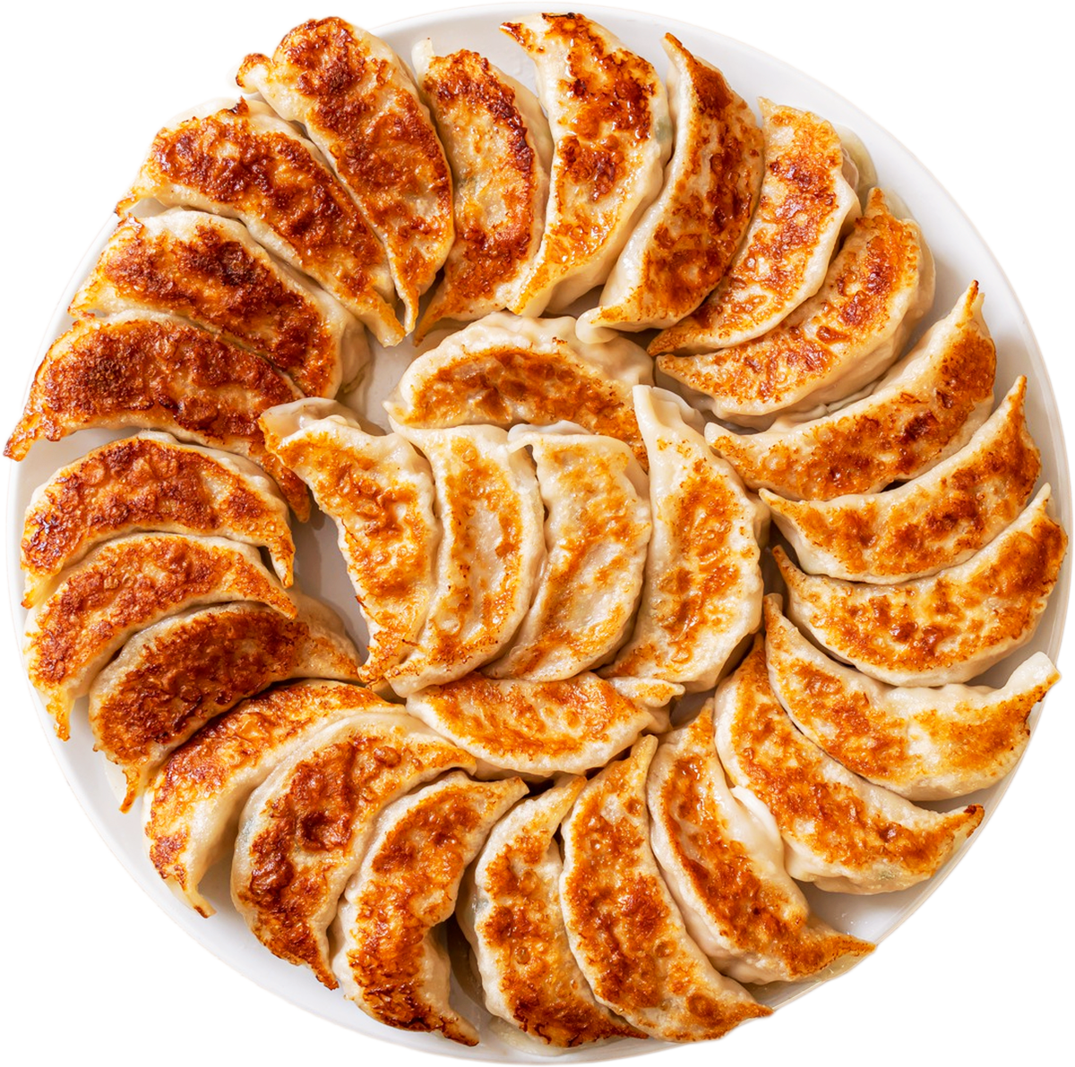 gyoza